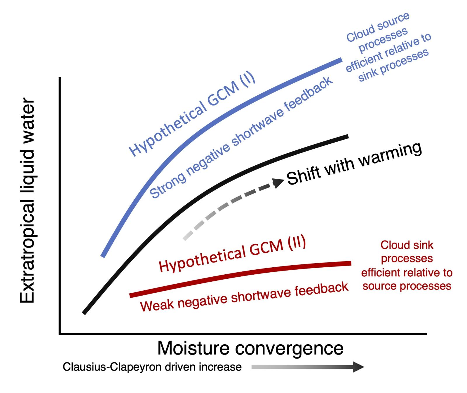 Line chart comparing moisture convergence and extratropical liquid water by various models.