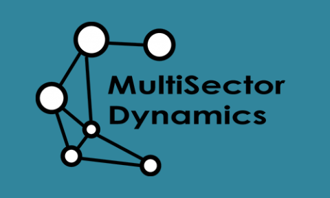 MultiSector Dynamics