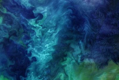 Photograph above a plankton bloom, showing striking blues and greens.