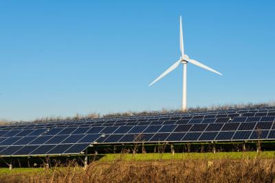 Field of solar panels with a wind turbine in the background