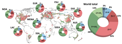 Globally, the largest negative effect on wheat yields was from rising temperatures, while the largest positive effect was from increasing CO2 concentrations. However, these effects varied regionally and drove diverse management needs to improve yields.