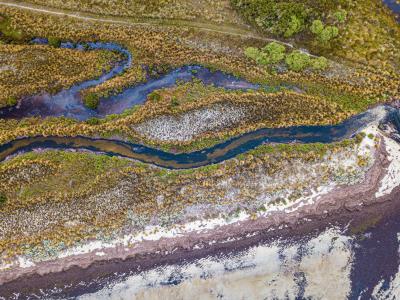 Aerial photograph of a winding river, with multicolored plants around the banks and land.