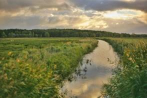 Irrigation recharge can provide significant fractions of monthly streamflow in the late summer and fall in irrigated mountainous watersheds. (Image by Adam Sondel | Pexels)