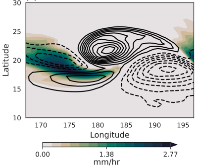 Vorticity (black contours) and precipitation rate (shading) in a shallow-water simulation of a monsoon depression.