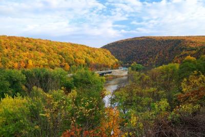 An image of a river