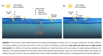 Sketch of components in actual ocean surface albedo shown in (a), which consists of three pathways, and in current climate models shown in (b), which is an oversimplification of (a). 