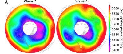 Wave patterns during the record-shattering heat wave at different stages. Polar stereographic projection of 500 hPa geopotential height fields (m) averaged over the wave 7 and wave 4 regimes characterized in this study, respectively. The yellow box indicates the PNW region.