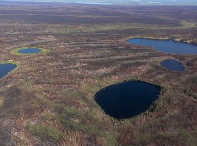 Permafrost thaw in and around the Yukon Flats National Wildlife Refuge. Photo by Torre Jorgenson. 