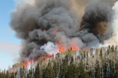 Wildfire smoke plume.