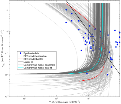 The dynamic energy budget (DEB) model (red line) is able to predict the observation that a same carbon use efficiency (CUE) can be realized with two substrate uptake rates, while the popular empirical models— the compromise model (cyan line) and power law model (black line) — predict CUE as a monotonic function of substrate uptake rate.