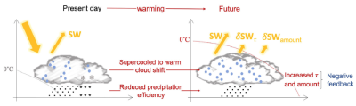 Supercooled cloud feedback schematic