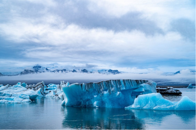 Arctic Sea Ice