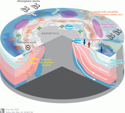 Schematic of the primary processes impacting the flow of carbon through the Southern Ocean.