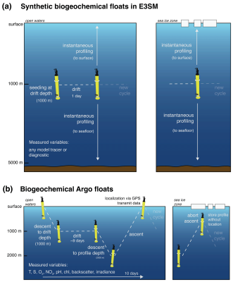 Schematic illustration of modeled and real-world biogeochemical Argo floats.