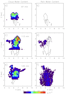 Vertical cross sections of cloud and rain water from a detailed model simulation