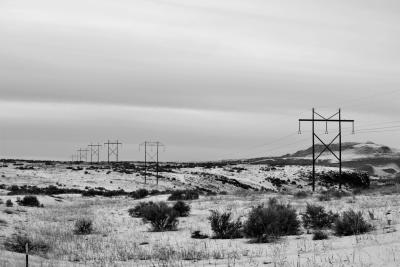 Electric posts on a dry field