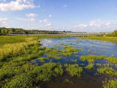 wetlands with a bridge crossing over