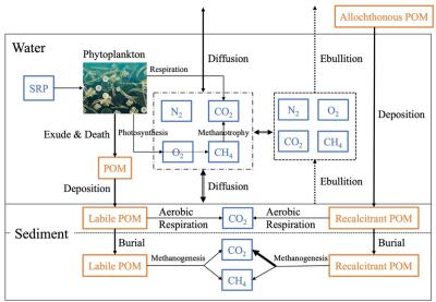 Schematic of the methane-involved processes that occur in lakes