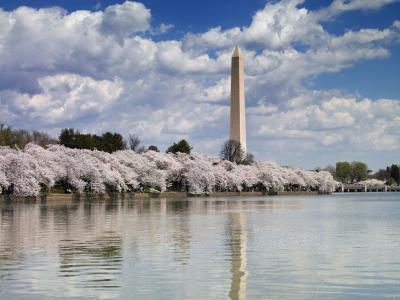 Image of Washington Monument, Washington, D.C.