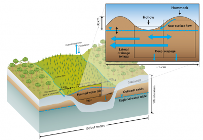 Schematic illustrating the hummock-hollow wetland hydrology model