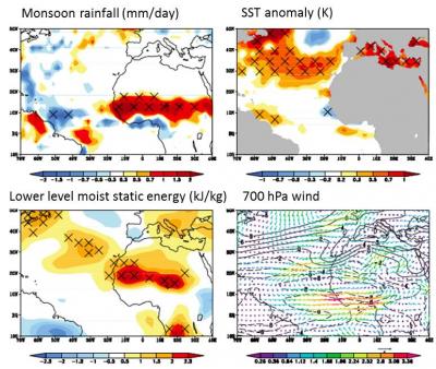 Warm NAME SST (upper right) increases West African monsoon rainfall (upper left) and convection (lower left), leading to anomalous cyclonic circulation (lower right) that favors African easterly wave and Atlantic TC activity.