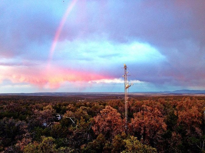 An AmeriFlux instrument tower measures carbon and water exchange between the biosphere and atmosphere within a piñon-juniper forest in New Mexico.