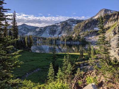 The addition of carbon cycle modeling to the Energy Exascale Earth System Model broadens its utility and enables the study of how changes in carbon storage can impact climate.