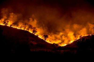 The total area burned annually in California doubled from 1984 to 2017. Image by Forest Service, USDA 