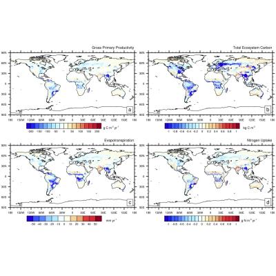 Difference between the dynamic root model and the default root ELM configuration for (a) GPP (g C m-2 yr-1); (b) total ecosystem carbon (TEC; kg C m-2); (c) evapotranspiration (mm yr-1); and (d) nitrogen uptake (g N m-2 yr-1).