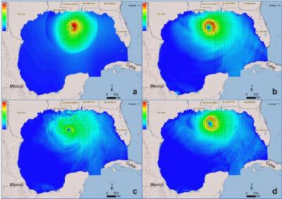 Multi-models storm surge