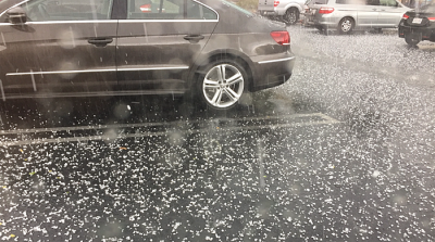 Hail is more predictable in moderately polluted environments compared with very clean and polluted environments. 