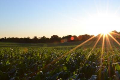 Impacts that occur outside the U.S. have economic consequences for U.S.-based agricultural producers of a similar order of magnitude, but opposite sign to domestic changes.