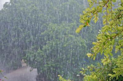 This study represents the first detection of changes in the annual cycle of tropical rainfall from the observational record. 