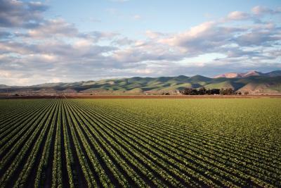 Dramatic yearly weather changes have the potential to generate large economic effects in both individual countries and globally through trade.