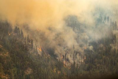 Explainable AI allows researchers to predict wildfires and explain the most important factors that drive the size of the overall burned area. Image by Forest Service, USDA. 