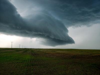 MSC rain storm