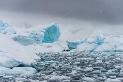 sea ice