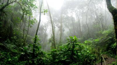 Simplified representations cannot accurately represent how secondary organic aerosols behave in time and space, limiting their predictive power. 