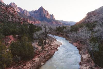 A stream running through wilderness